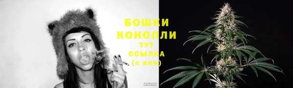 PSILOCYBIN Балахна