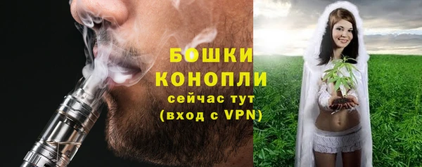 PSILOCYBIN Балахна