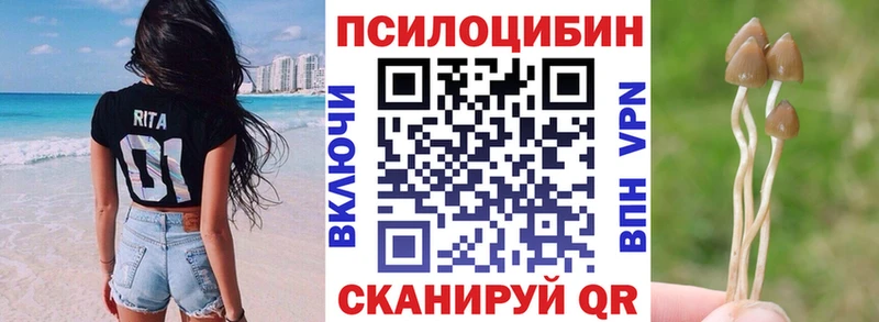 OMG как зайти  Безенчук  Галлюциногенные грибы Cubensis 